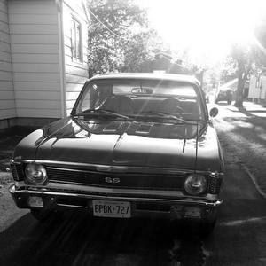 Meet your Posher, Steve